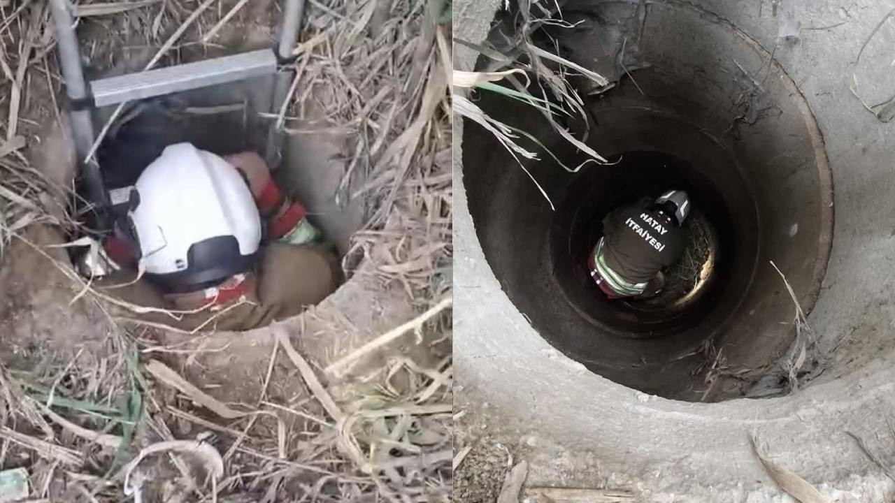 4 metrelik kuyuya düşen köpeği itfaiye kurtardı