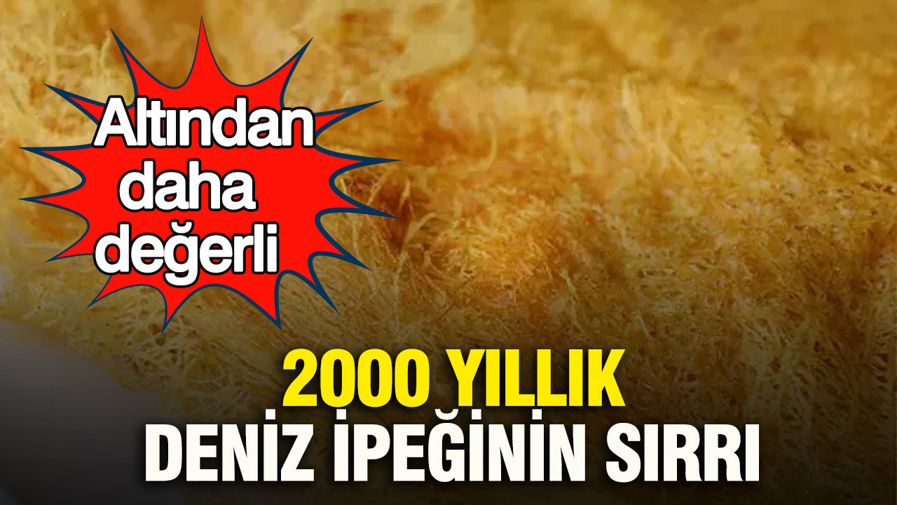 Altından daha değerli: 2000 yıllık deniz ipeğinin sırrı