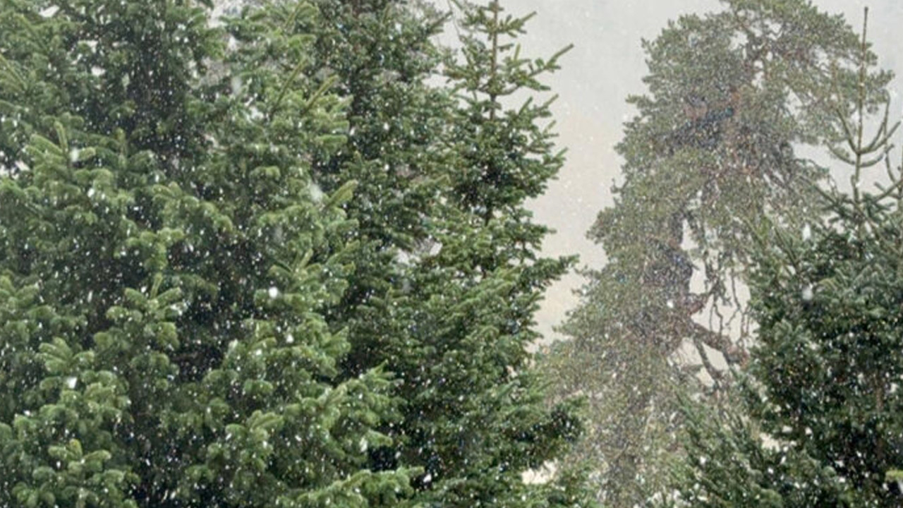 Bolu’da kar sürprizi