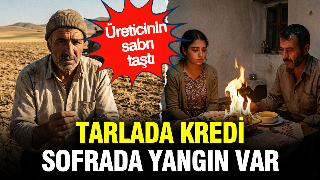 Üreticinin sabrı taştı: Tarlada kredi, sofrada yangın var
