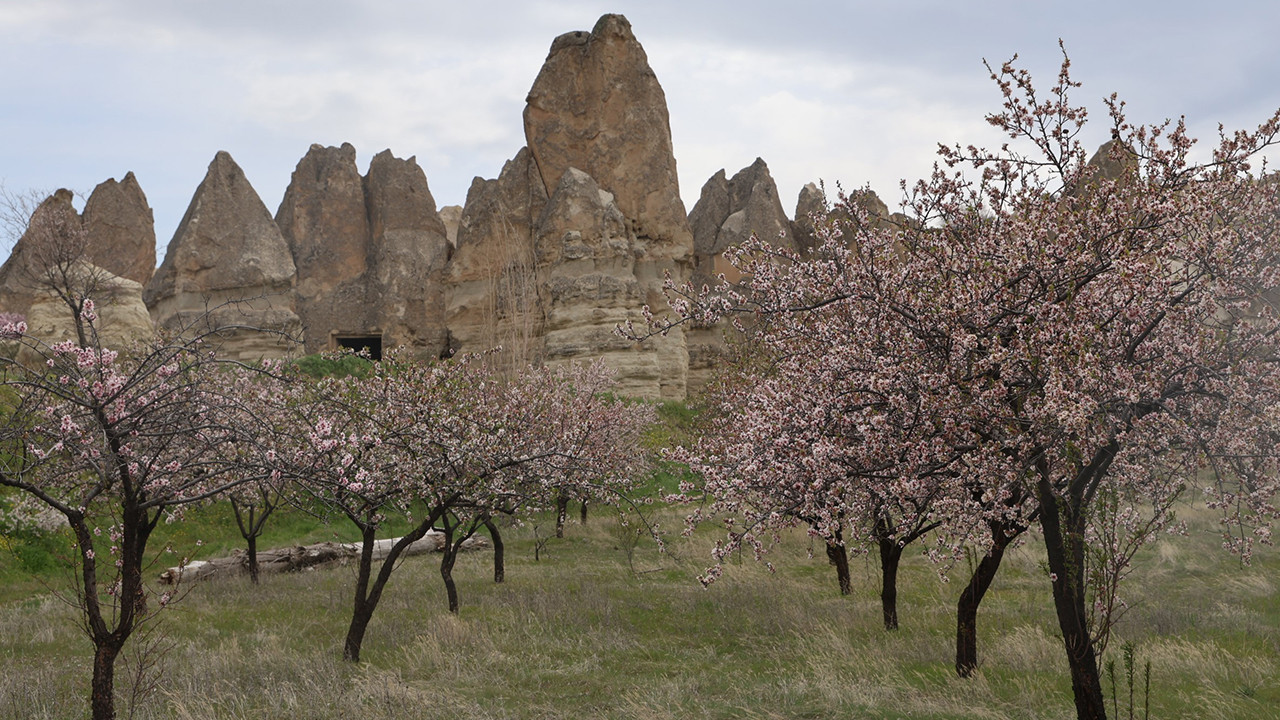Dünyanın gözü burada: UNESCO mirası Kapadokya’da bahar şöleni