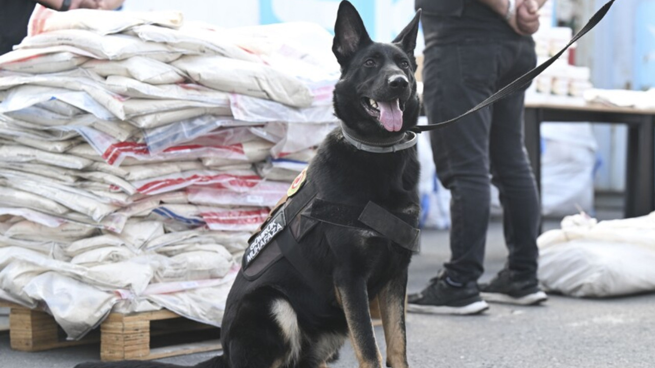 İki ilde dev operasyon: 420 kilo uyuşturucu yakalandı