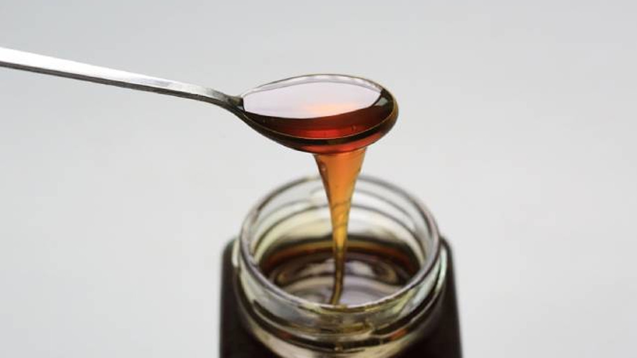 Kastamonu kestane balında coğrafi işaret seferberliği: Uluslararası marka olma yolunda ilk adım