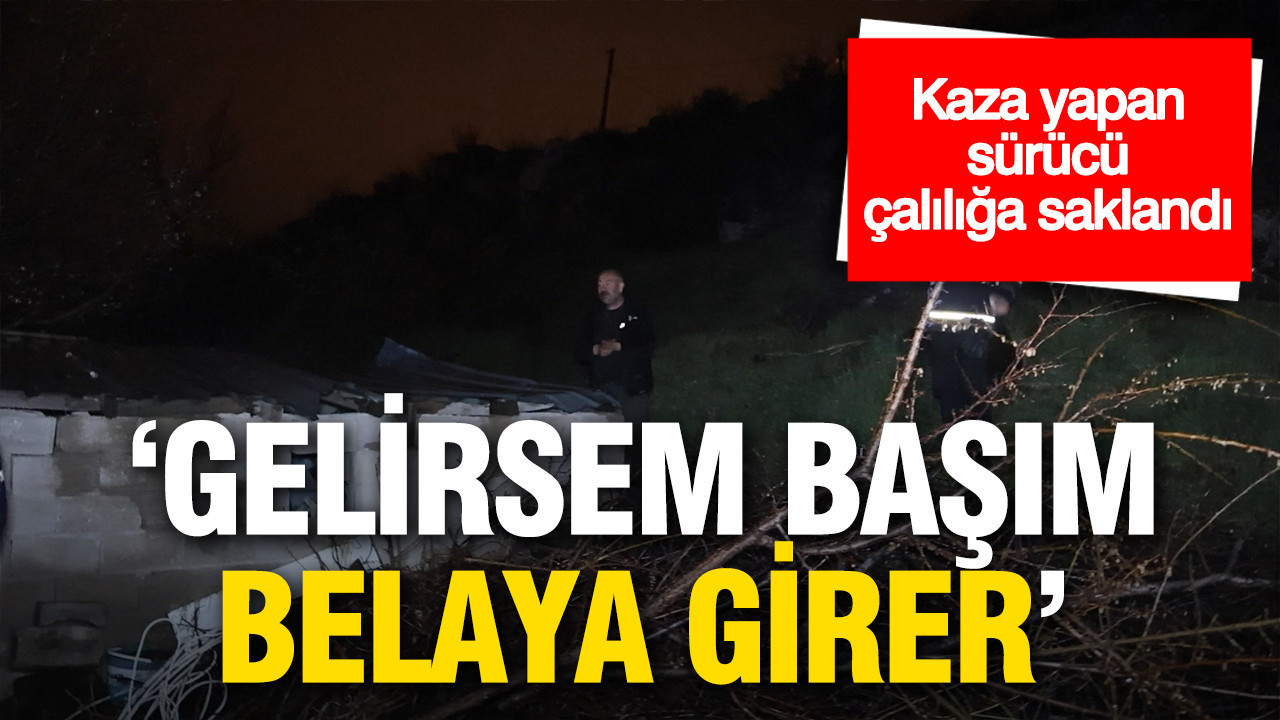 Kaza yapan alkollü sürücü çalılığa saklandı: Gelirsem başım belaya girer