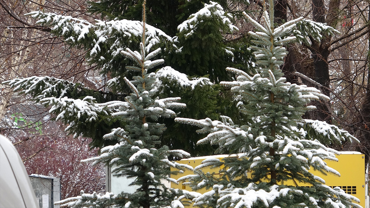 Bahar beklenirken kar geldi: Ardahan’da kış sürprizi