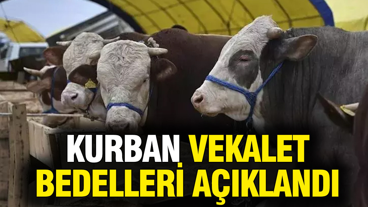 Diyanet İleri Başkanlığı kurban vekalet bedellerini açıkladı