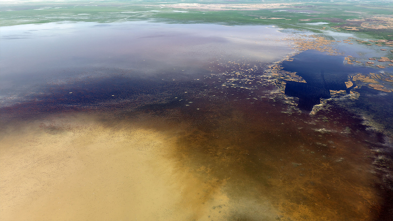 Nasreddin Hoca’nın mayası nihayet tutuyor mu? Görenler gözlerine inanamadı