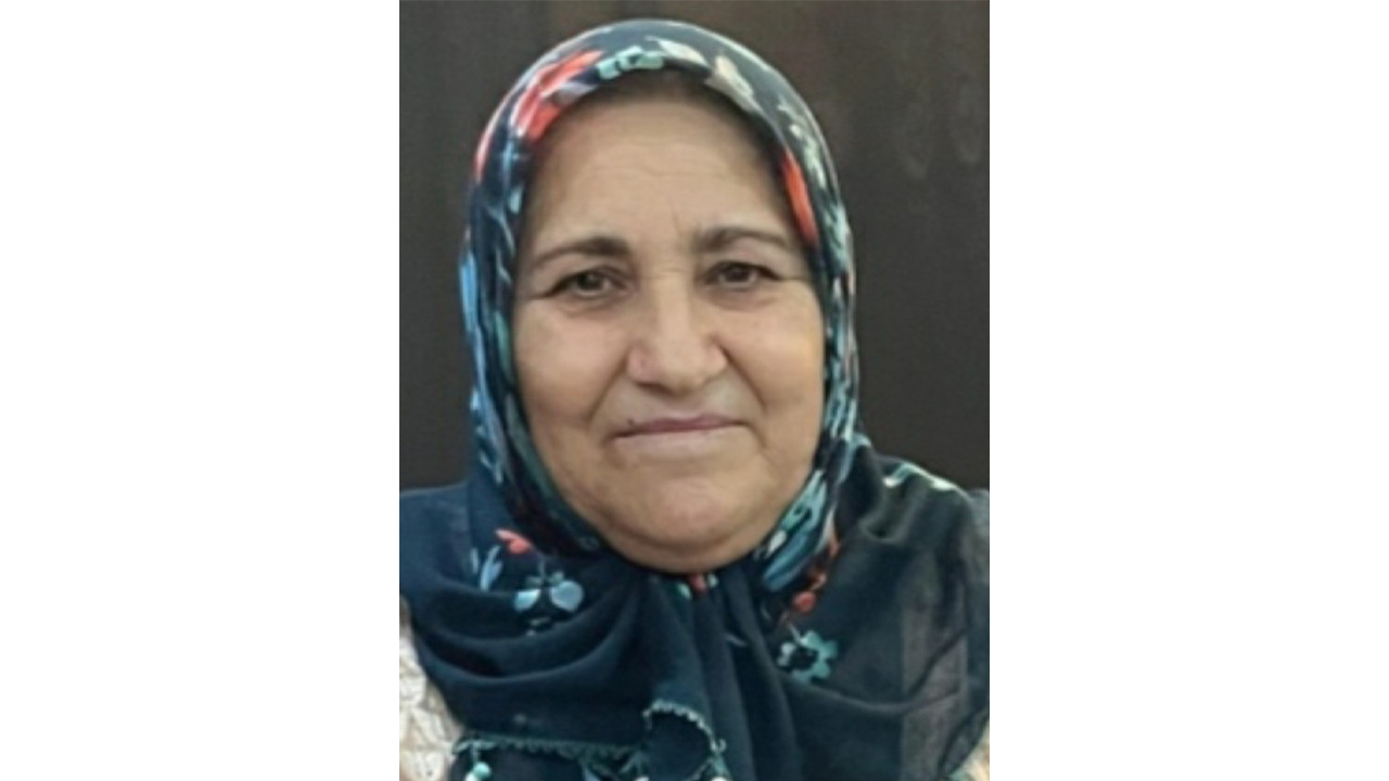 Ordu’da üzerine ağaç devrilen kadın hayatını kaybetti