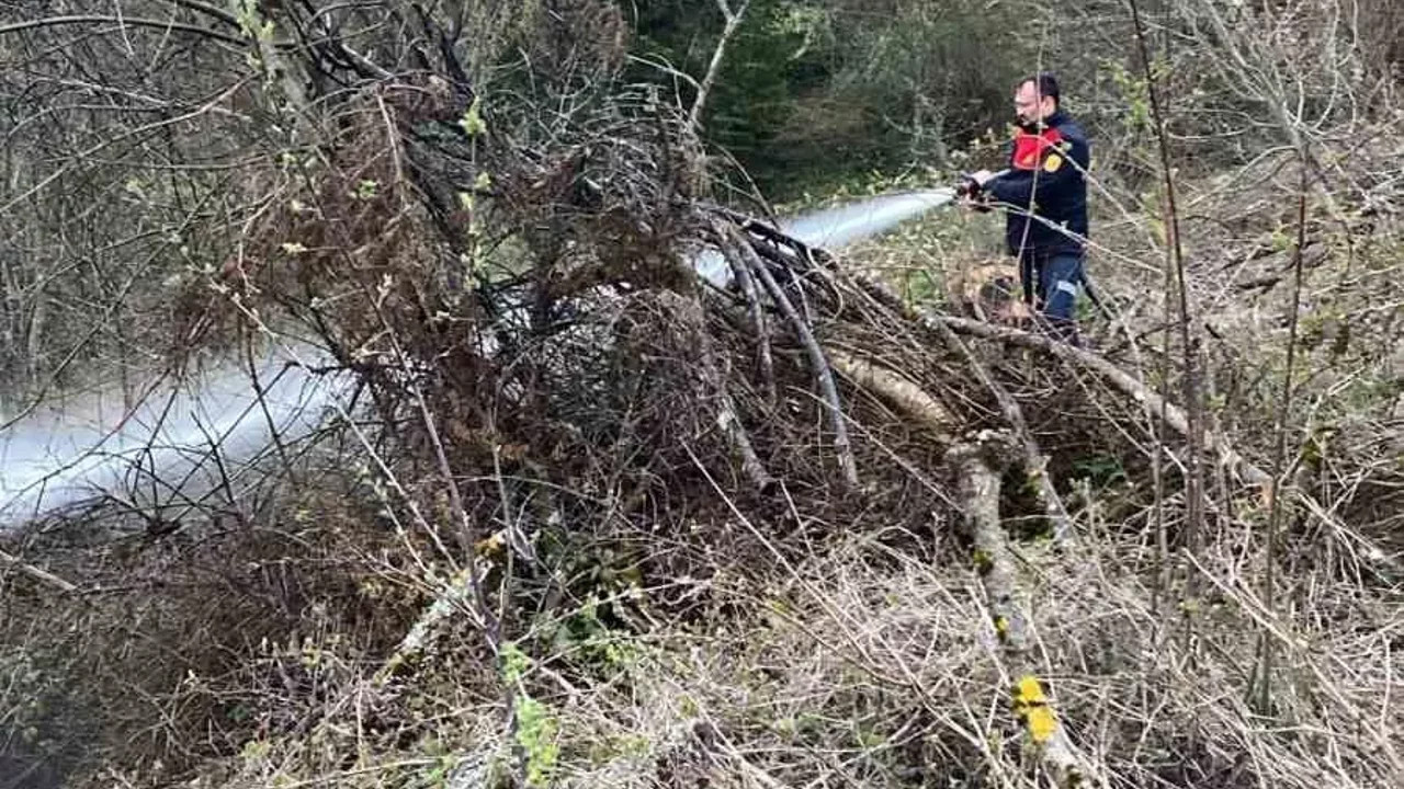 Ormanlık alanda çıkan yangın