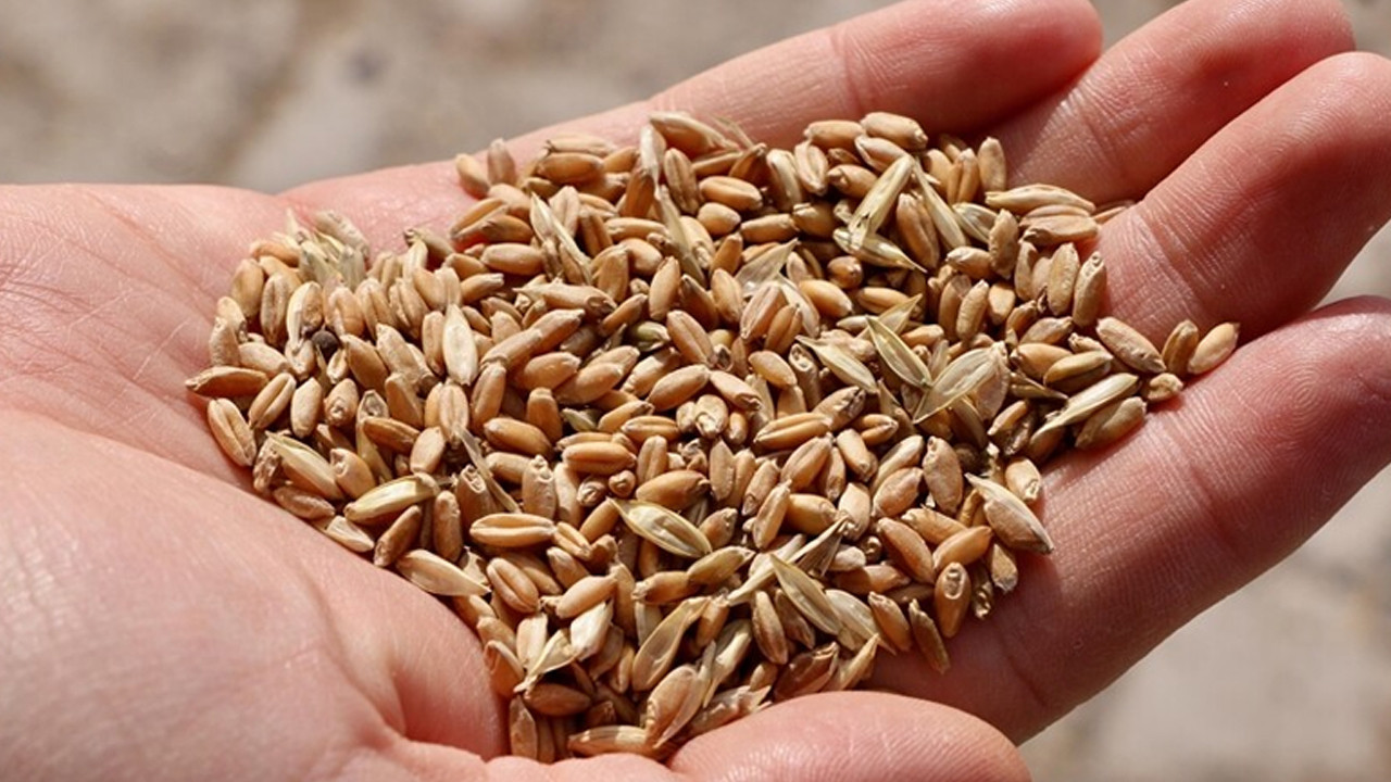 Sofrada 'lezzet' dönemi kapanıyor: Artık tek kriter dayanıklılık