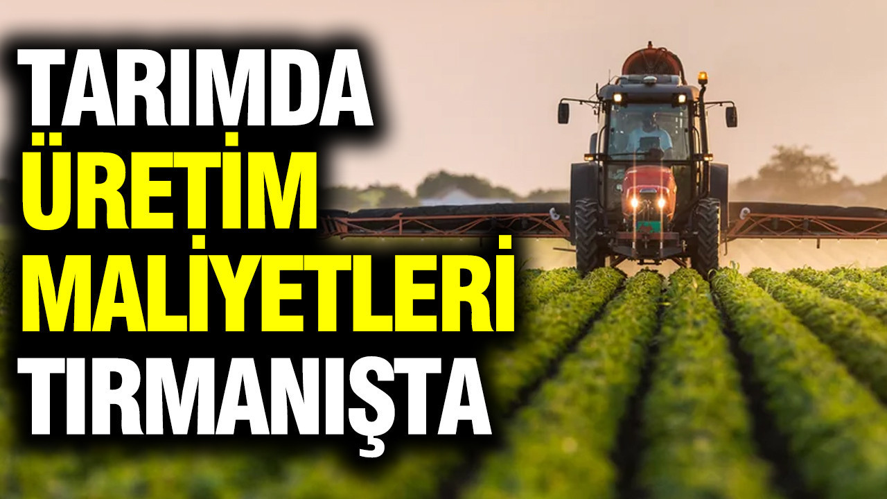 Tarımda üretim maliyetleri tırmanışta