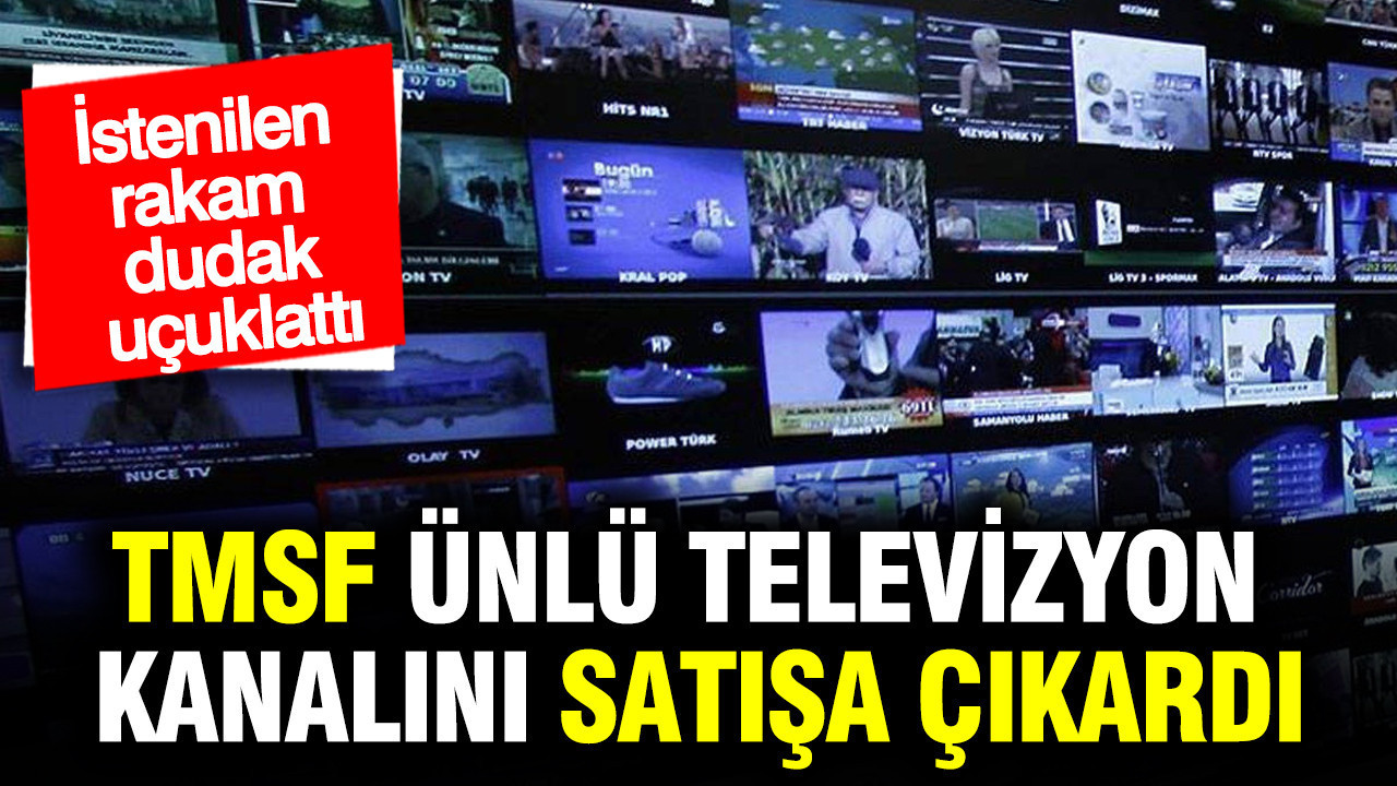 TMSF, ünlü türk televizyon kanalı TELE1'i satışa çıkardı: İstenilen rakam dudak uçuklattı
