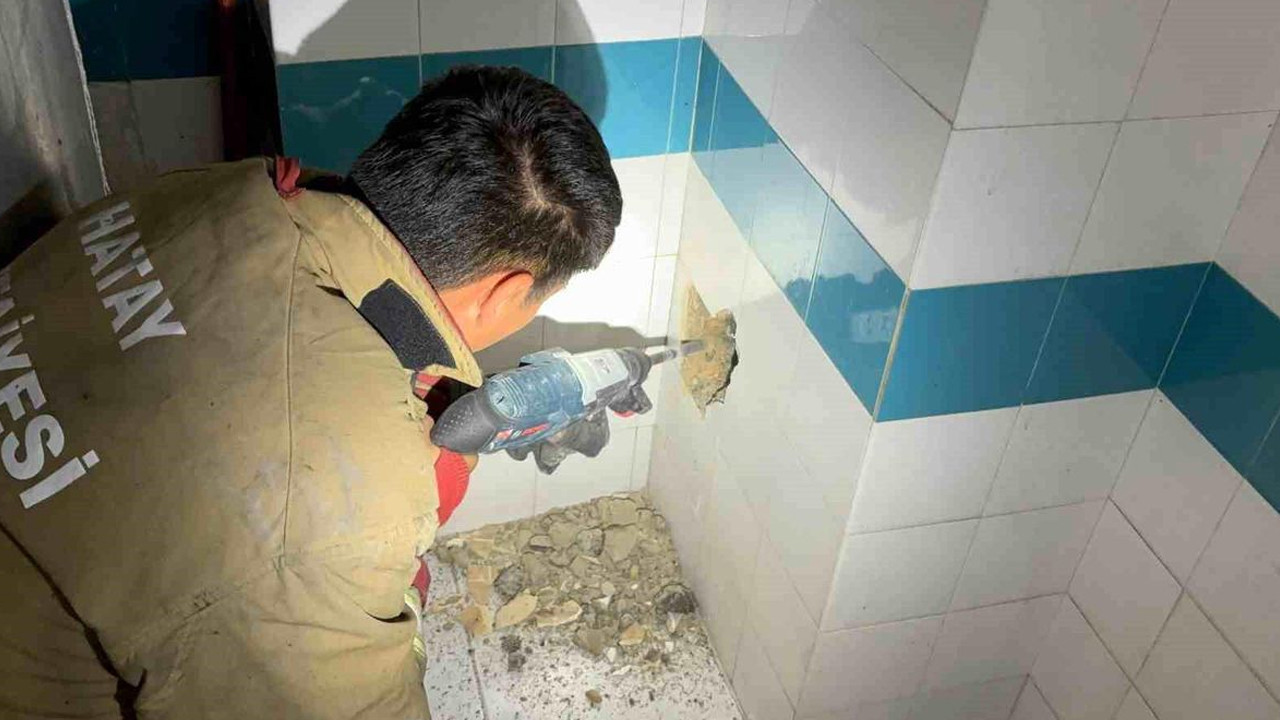 Bacada mahsur kalan yavru kedi kurtarıldı