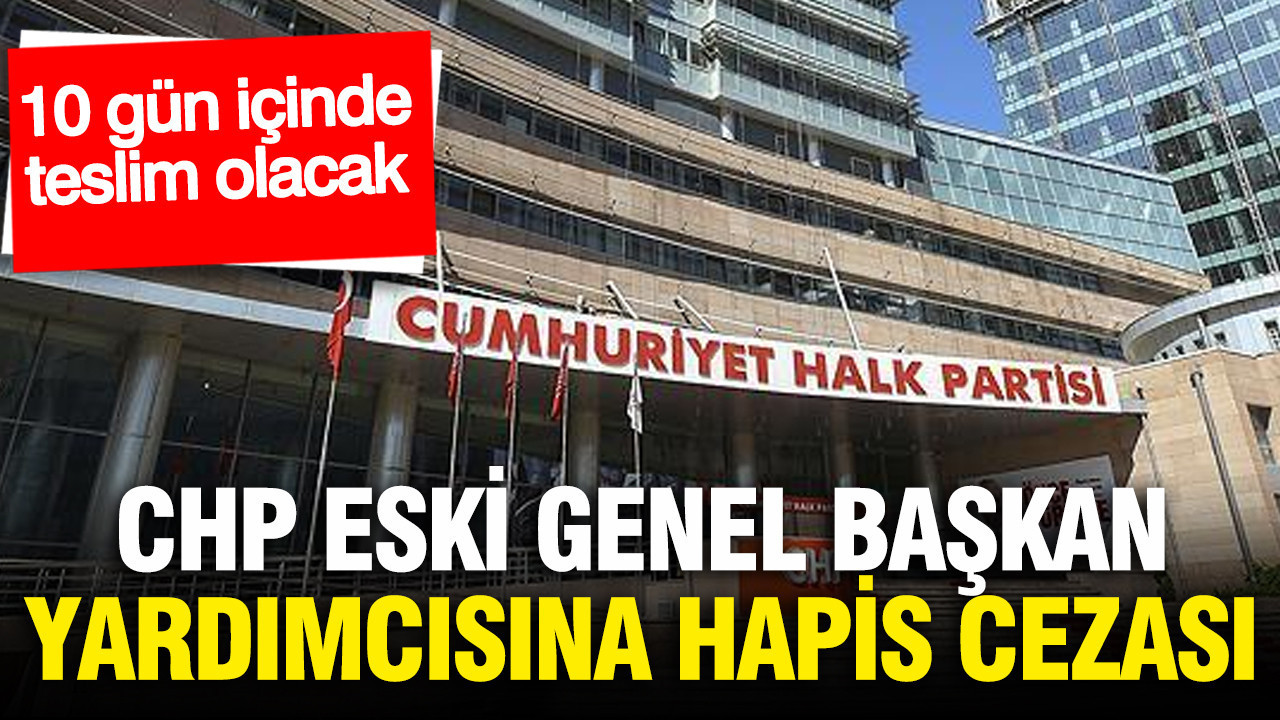 CHP'nin eski Genel Başkan Yardımıcısı Eren Erdem hapis cezasına çarptırıldı