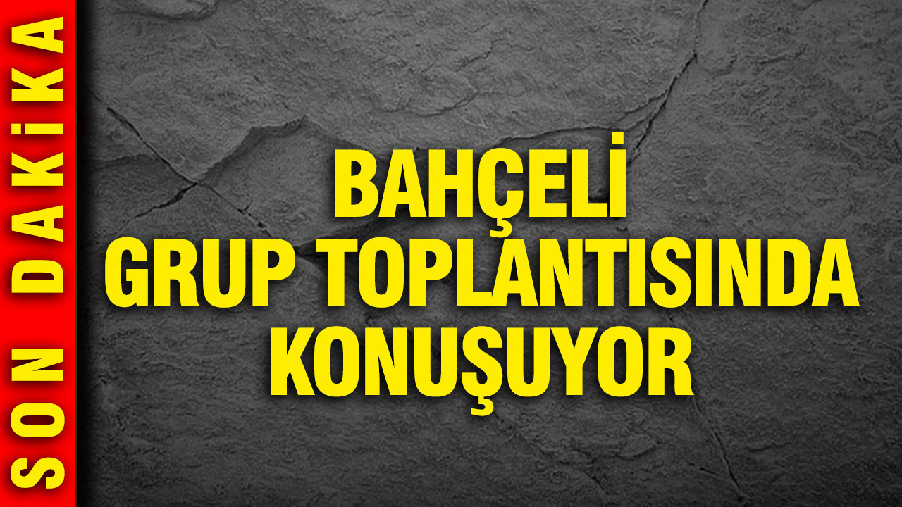 Devlet Bahçeli partisinin grup toplantısında konuşuyor