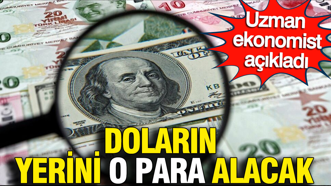 Doların yerini o para alacak: Uzman ekonomist açıkladı