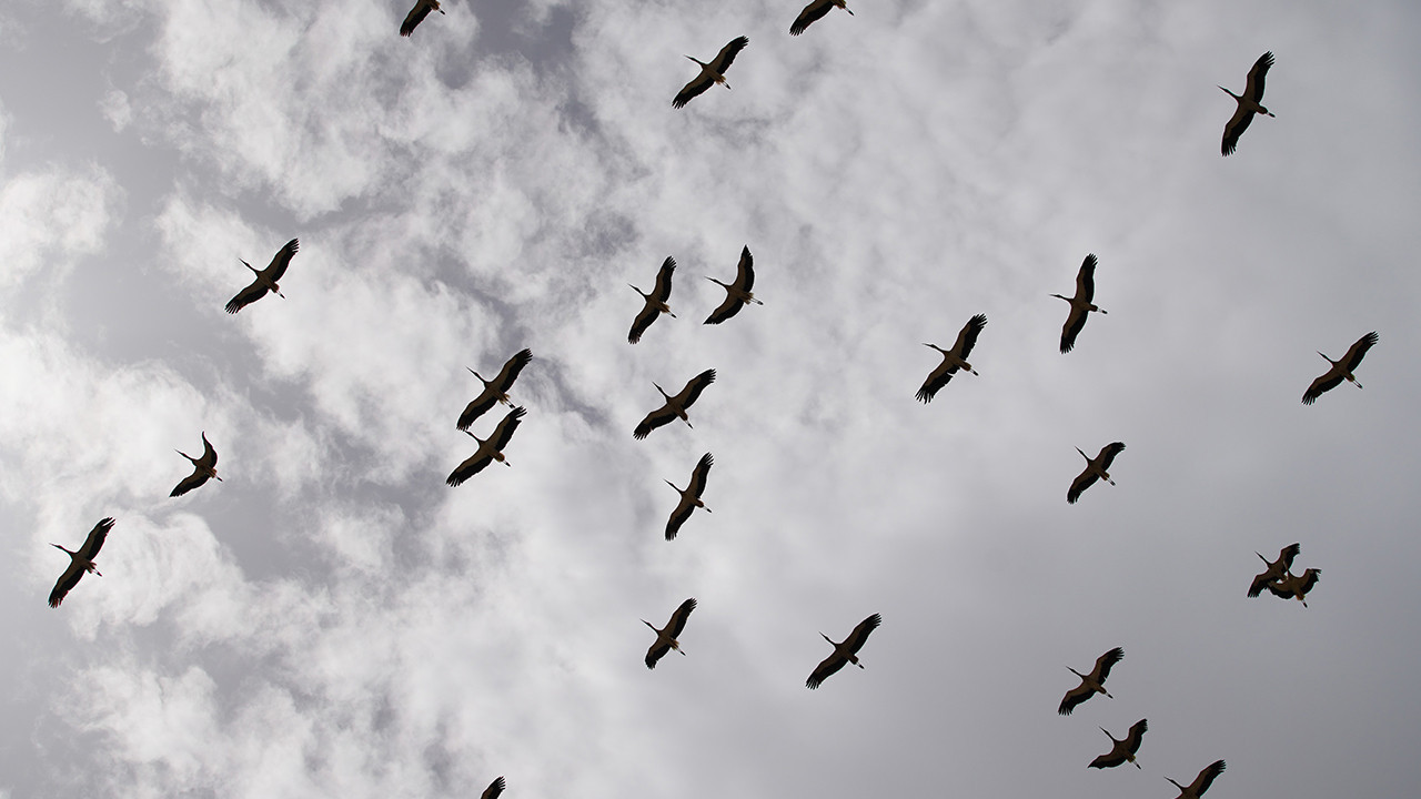 Kırıkkale'de gökyüzü bir anda karardı, görenler gözlerine inanamadı: İşte o görüntüler...
