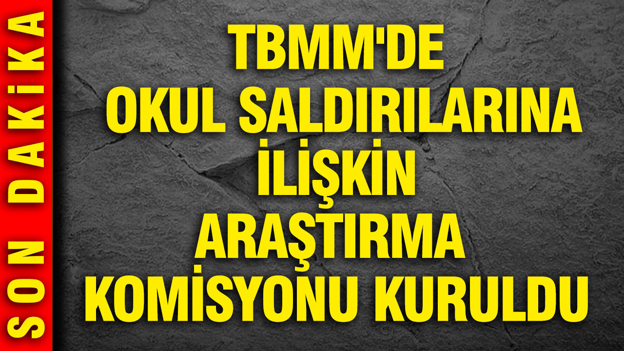 TBMM'de okul saldırılarıyla ilgili komisyon kuruldu