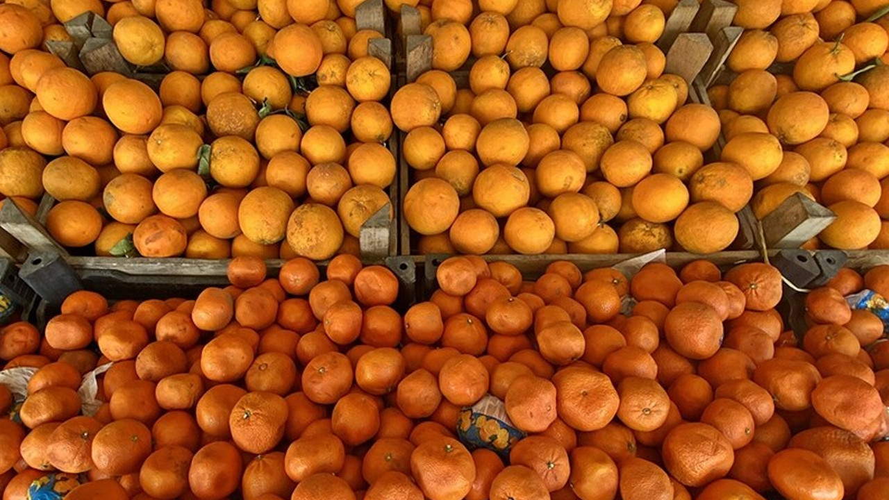 Turunçgil ihracatı ilk çeyrekte rekor kırdı