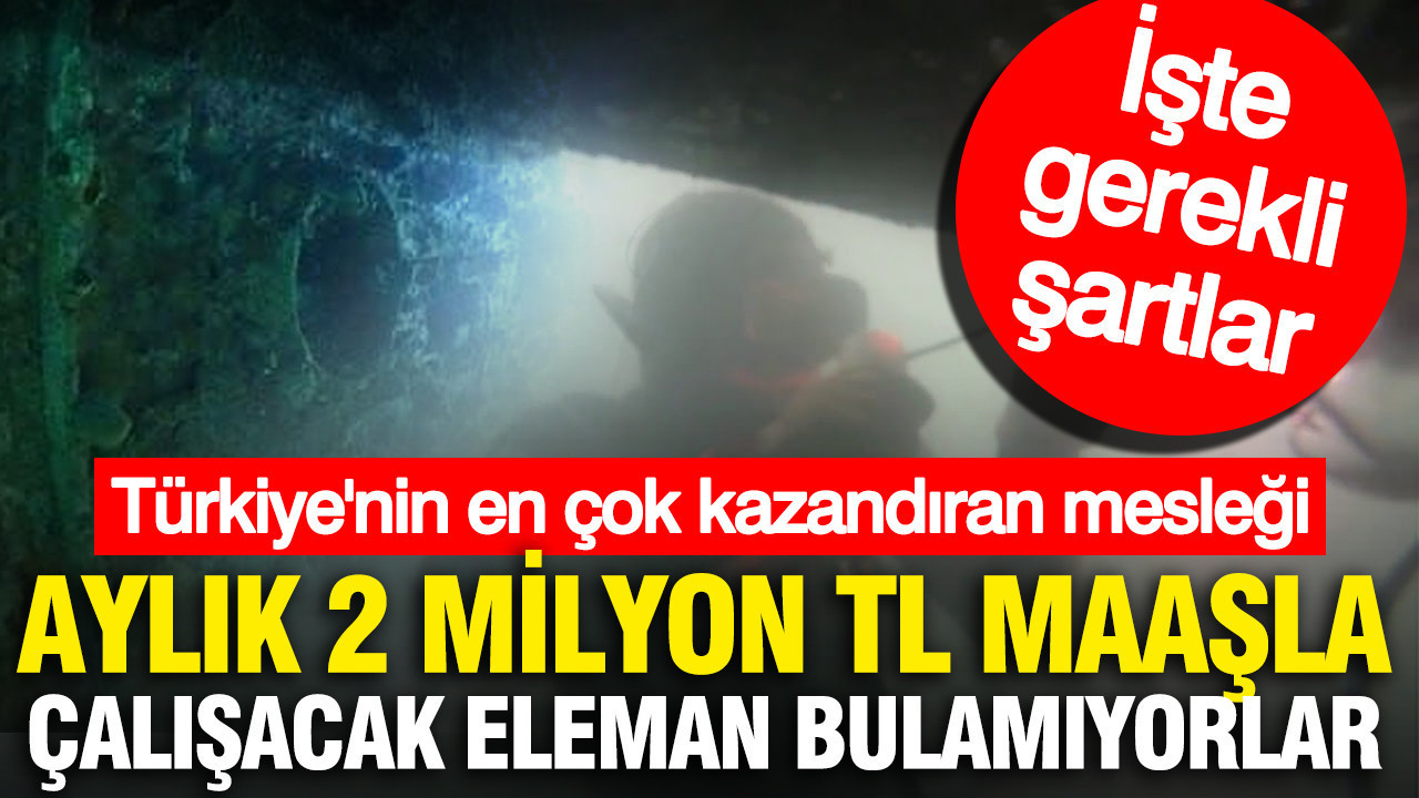 Aylık 2 milyon TL maaşla çalışacak eleman bulamıyorlar... İşte Türkiye'nin en çok kazandıran mesleği ve şartları