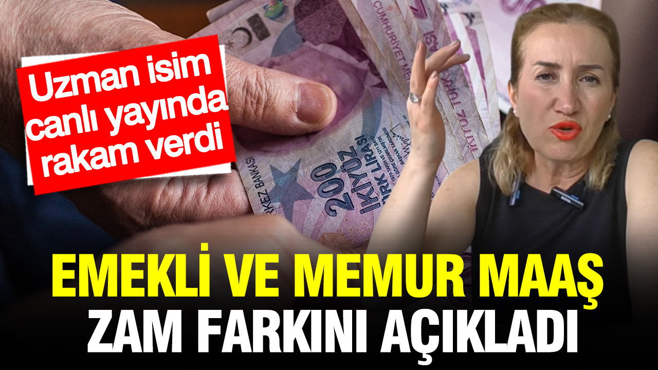 Emekli ve memur maaş zam farkını açıkladı: SGK uzmanı Dilek Ete tek tek hesapladı