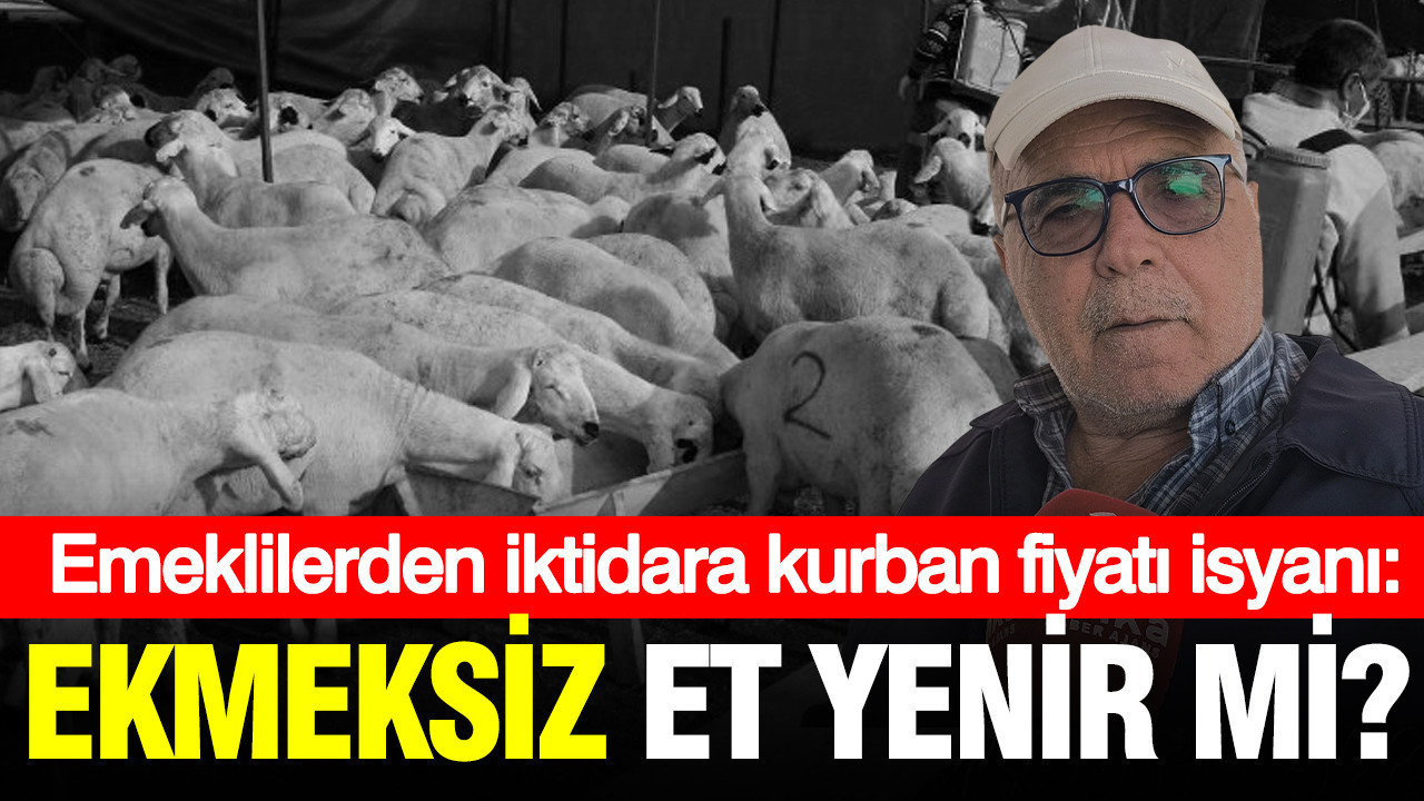 Emeklilerden iktidara kurban fiyatı isyanı: Önce kurban alıyorduk, şimdi ayağını ya da kuyruğunu
