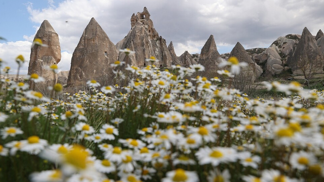 Kapadokya'da peribacaları baharın gelişiyle çiçeklendi