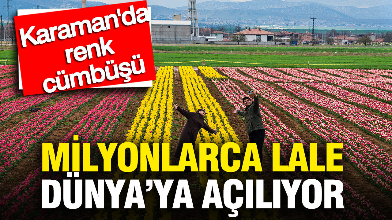 Karaman'da renk cümbüşü: Milyonlarca lale dünyaya açılıyor