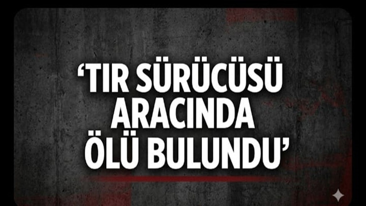 Tır sürücüsü aracında ölü bulundu