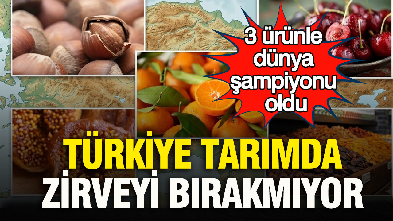 Türkiye tarımda zirveyi bırakmıyor: 3 ürünle dünya şampiyonu oldu