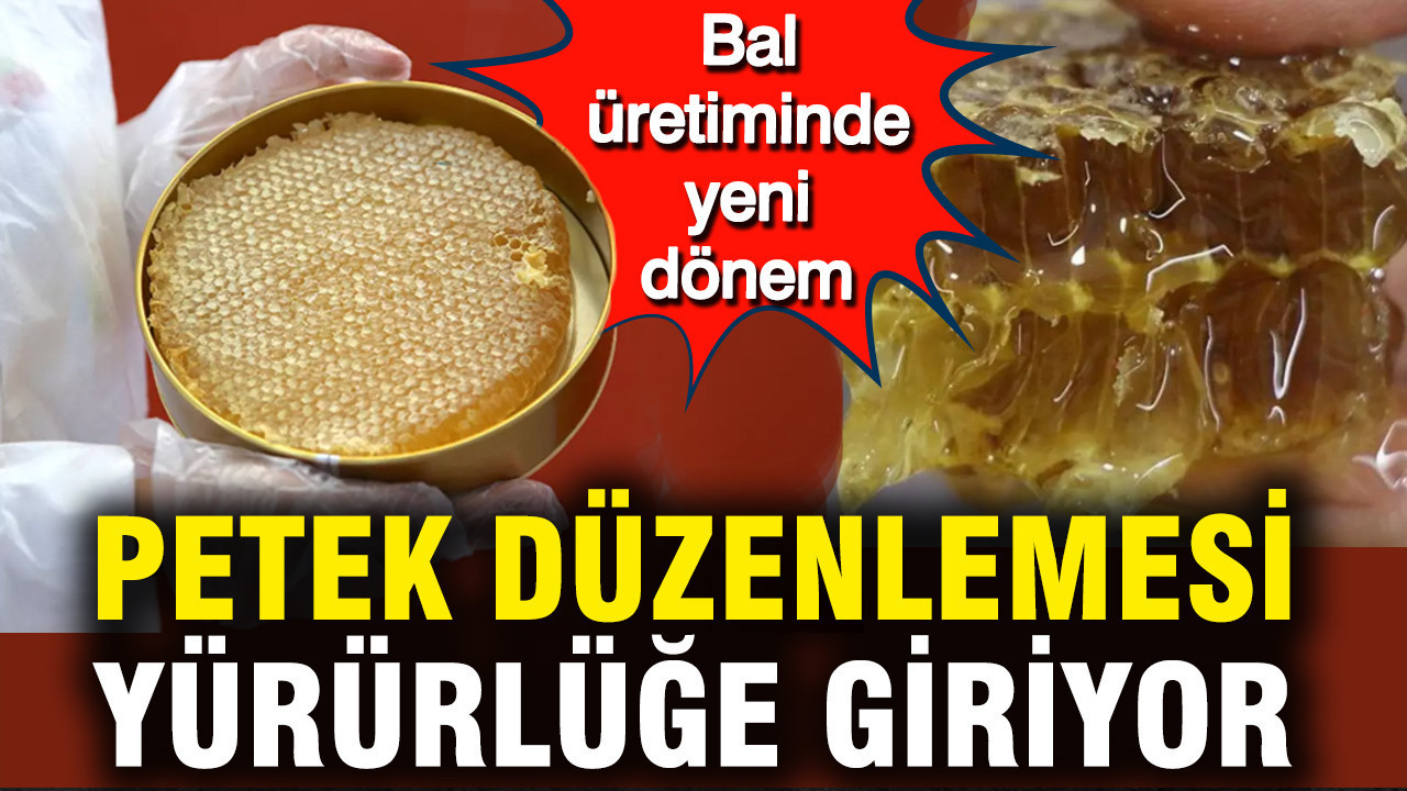 Bal üretiminde yeni dönem: Petek düzenlemesi yürürlüğe giriyor
