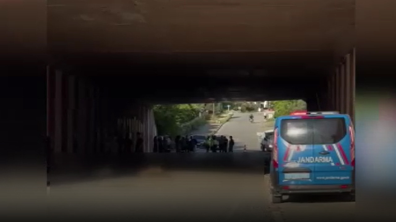 Tünelde facia: Otomobil sürüye daldı: 17 koyun telef oldu