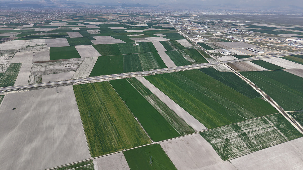 Yağışlar çiftçiyi umutlandırdı: Konya Ovası’nda hububatta 500 bin ton rekolte artışı bekleniyor