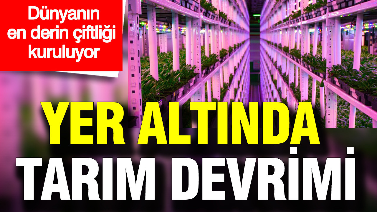 Yer altında tarım devrimi: Dünyanın en derin çiftliği 1.1 km derine kuruluyor