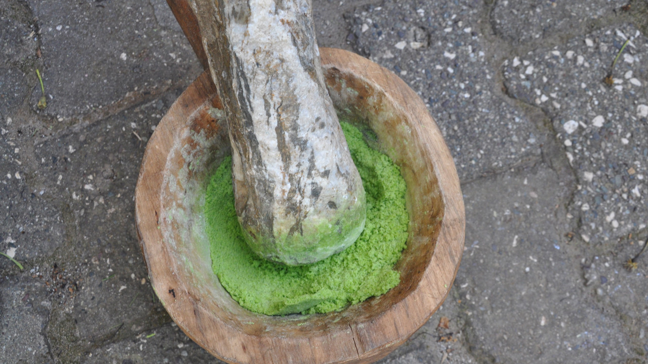 Akciğerin dostu: Köylünün umudu