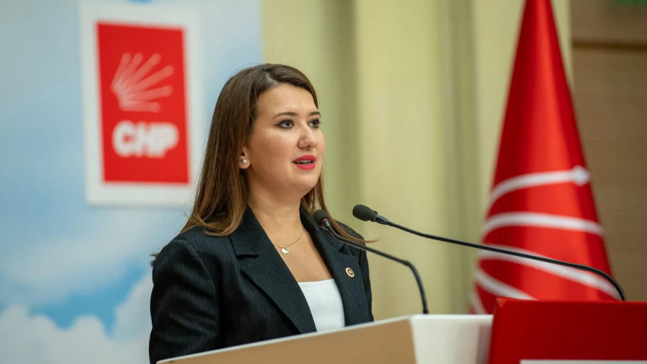 CHP'li Gökçen: Genç ve kadın siyasetçiler, nefret söylemine daha çok maruz kalıyor