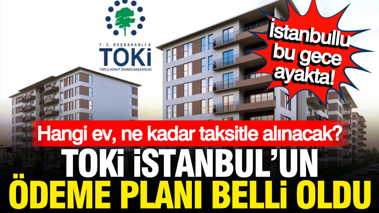 TOKİ İstanbul'da geri sayım başladı, hangi eve ne kadar ödenecek? Kura çekimi yarın