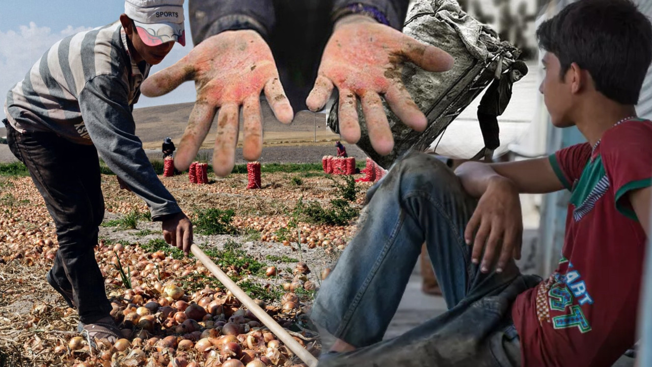 Türkiye'nin kanayan yarası: Çocuk işçiliğinin karanlık tablosu