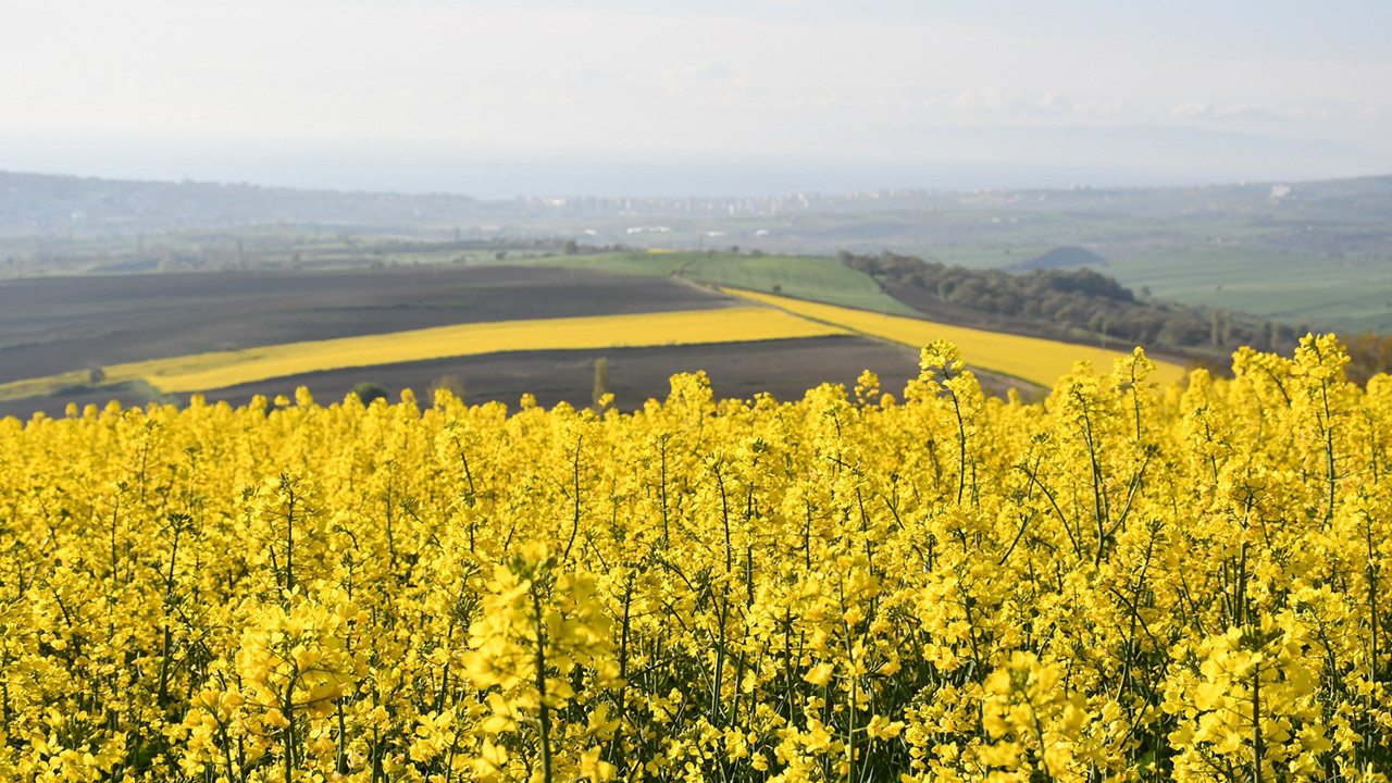 Verimli bölgede tarımda yeni dönem