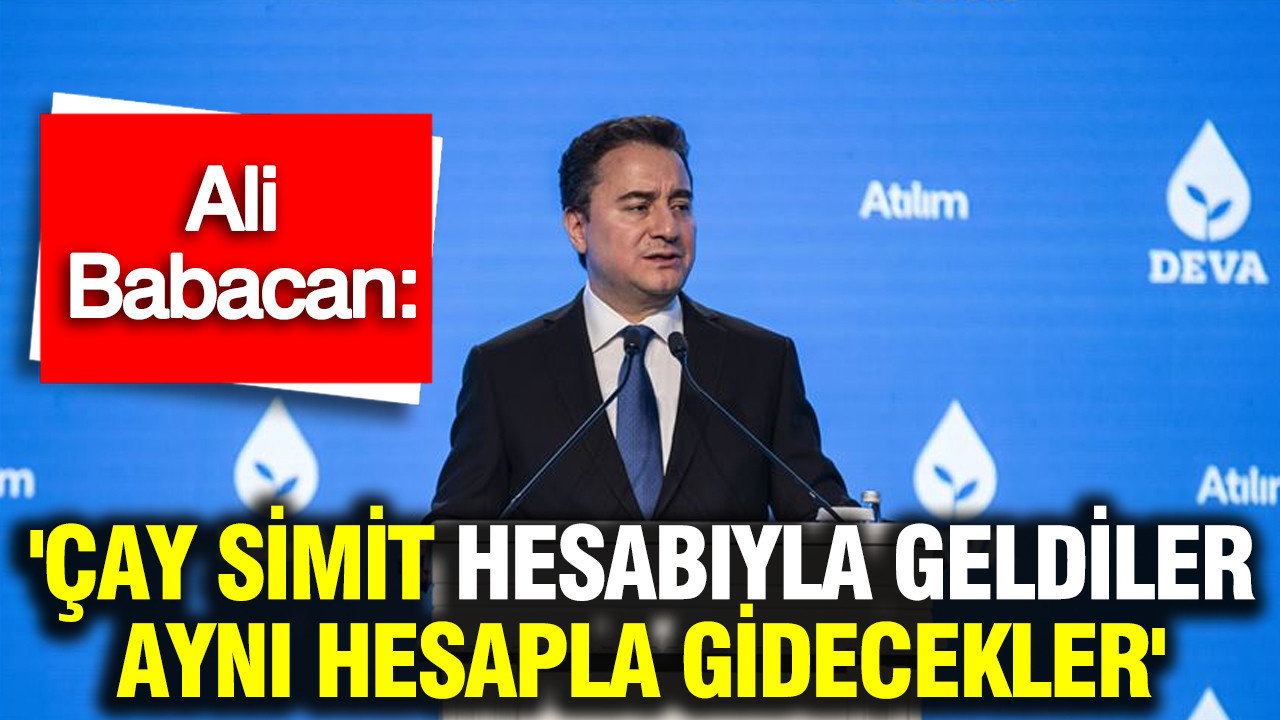 Babacan: 'Çay simit hesabıyla geldiler aynı hesapla gidecekler'