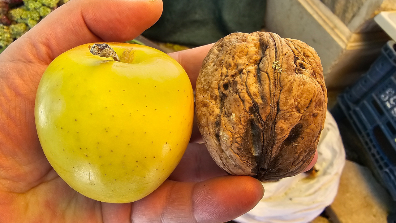 Elma büyüklüğünde ceviz