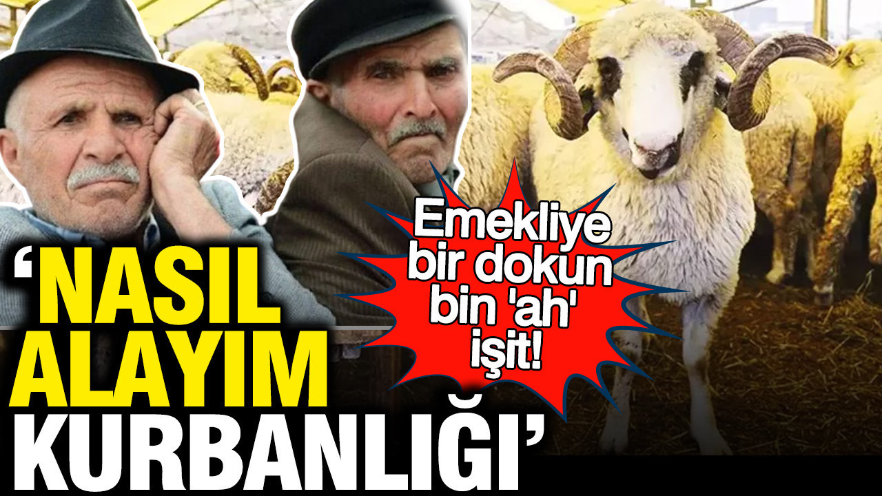 Emekli Kurban Bayramı öncesi karalar bağladı: Nasıl alayım kurbanlığı