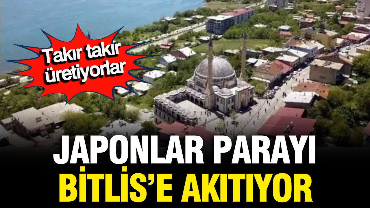 Japonlar tüm parayı Bitlis'e akıtıyor... İşte sebebi