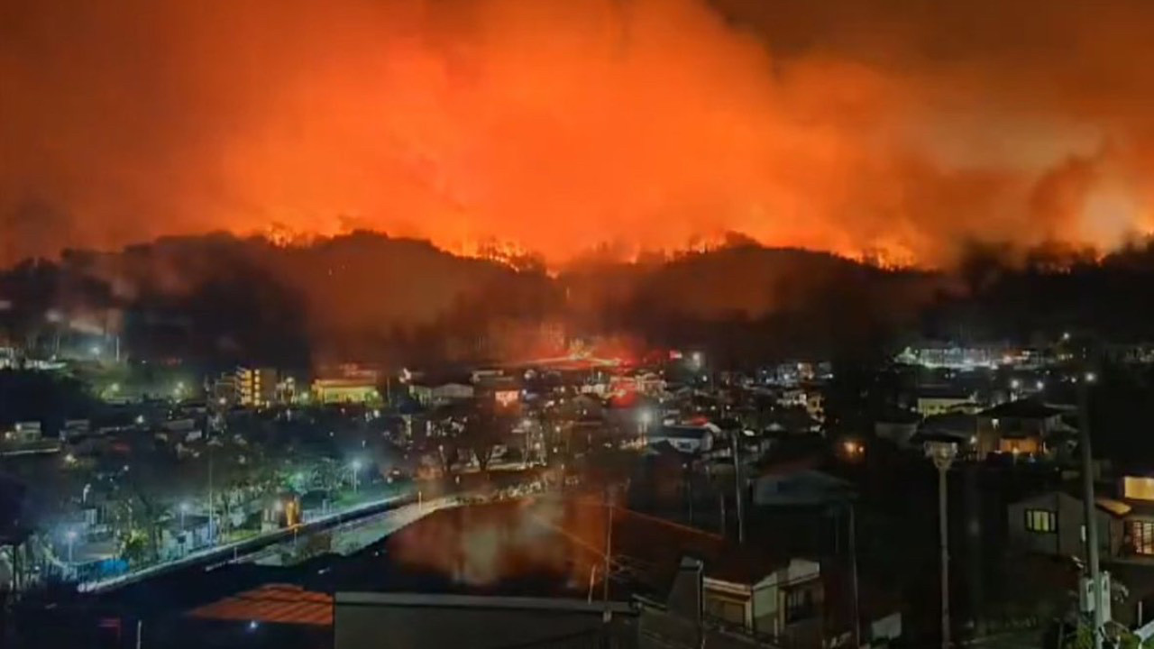 Japonya'da orman yangını felaketi