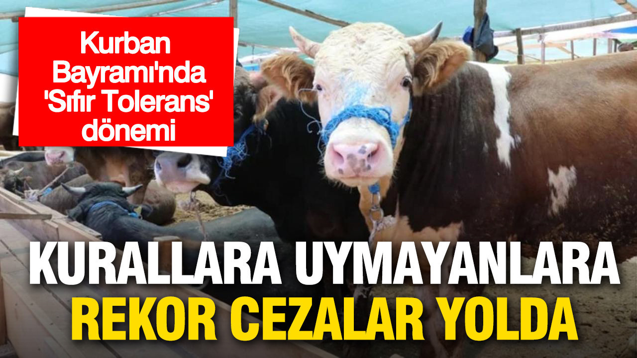 Kurban Bayramı'nda 'Sıfır Tolerans' dönemi: Kurallara uymayanı binlerce liralık ceza bekliyor
