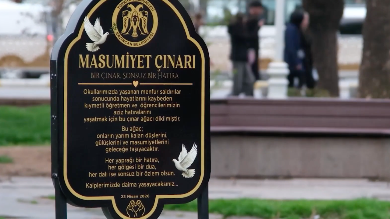 Okul saldırısında hayatını kaybedenler anısına "masumiyet çınarı" dikildi