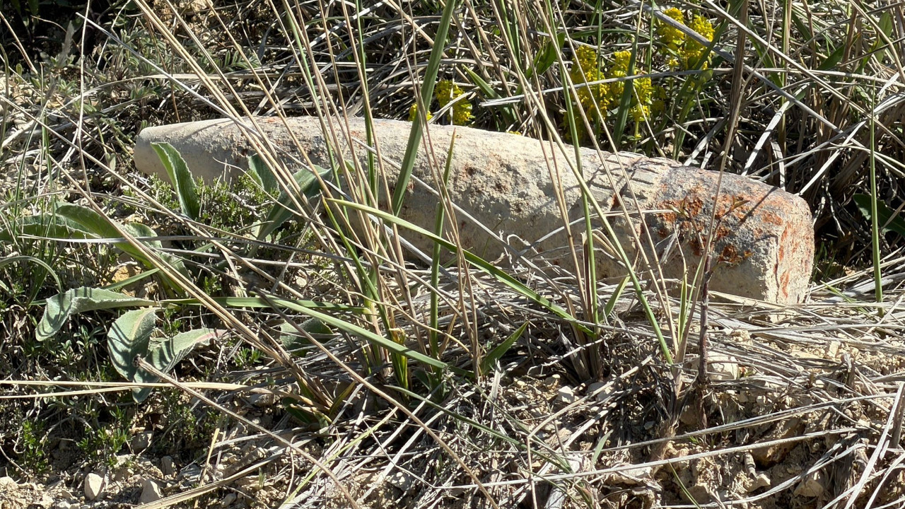 Ankara’da mantar arayan vatandaş top mermisi buldu