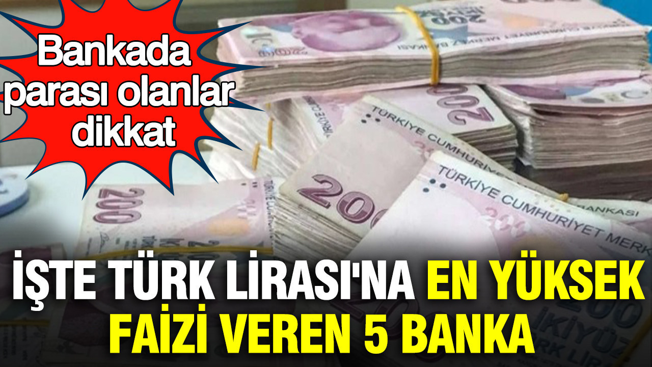 Bankada parası olanlar dikkat: Türk Lirası'na en yüksek faizi veren 5 banka belli oldu