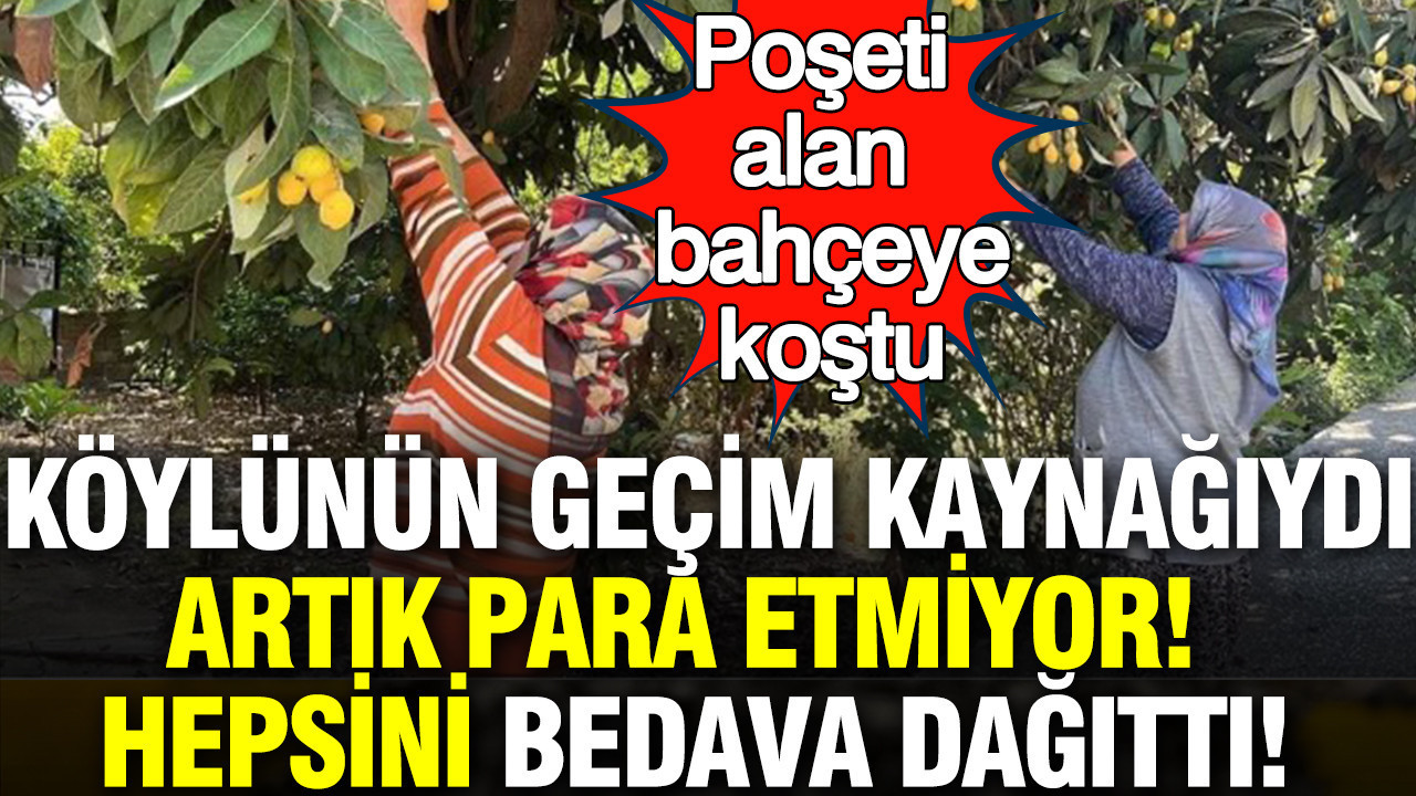 Poşeti alan bahçeye koştu: Köylünün geçim kaynağıydı, artık para etmiyor; hepsini bedava dağıttı