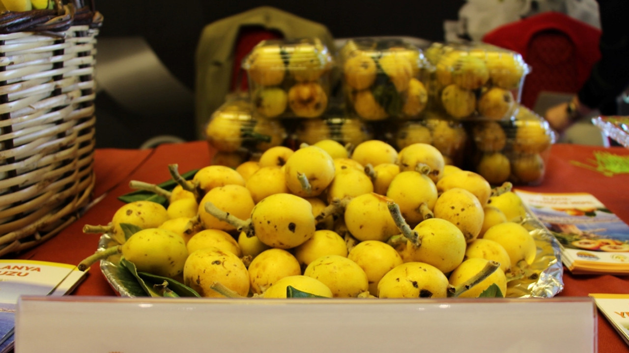 Coğrafi işaretli ürünlerin AB tescil süreci hızlandı: Hedef 100 ürün